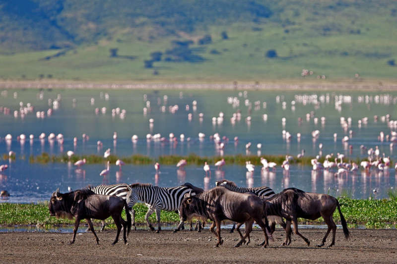 Disabled Holidays - 8 Day Ultimate Safari - Accessible Tours in East Africa
