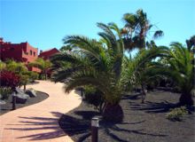 Oasis Royal Complex, Corralejo, Fuerteventura - walkway