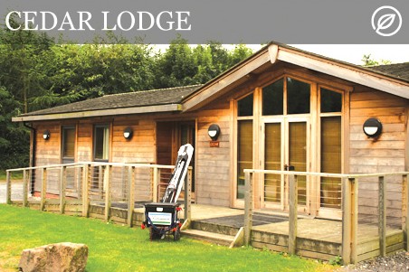 Disabled Holidays - Cedar Lodge- Derbyshire - Owners Direct, England