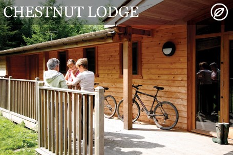 Disabled Holidays - Chestnut Lodge- Derbyshire - Owners Direct, England