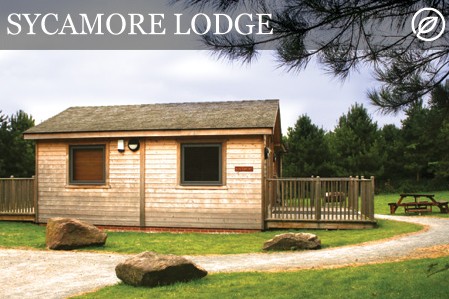 Disabled Holidays - Sycamore Lodge- Derbyshire - Owners Direct, England