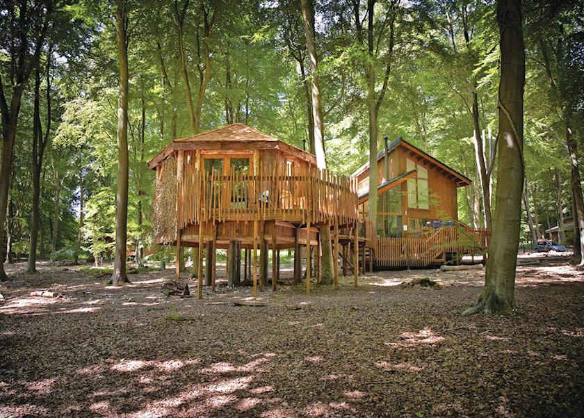 Disabled Holidays - Silver Birch Lodge- Norfolk - Owners Direct, England