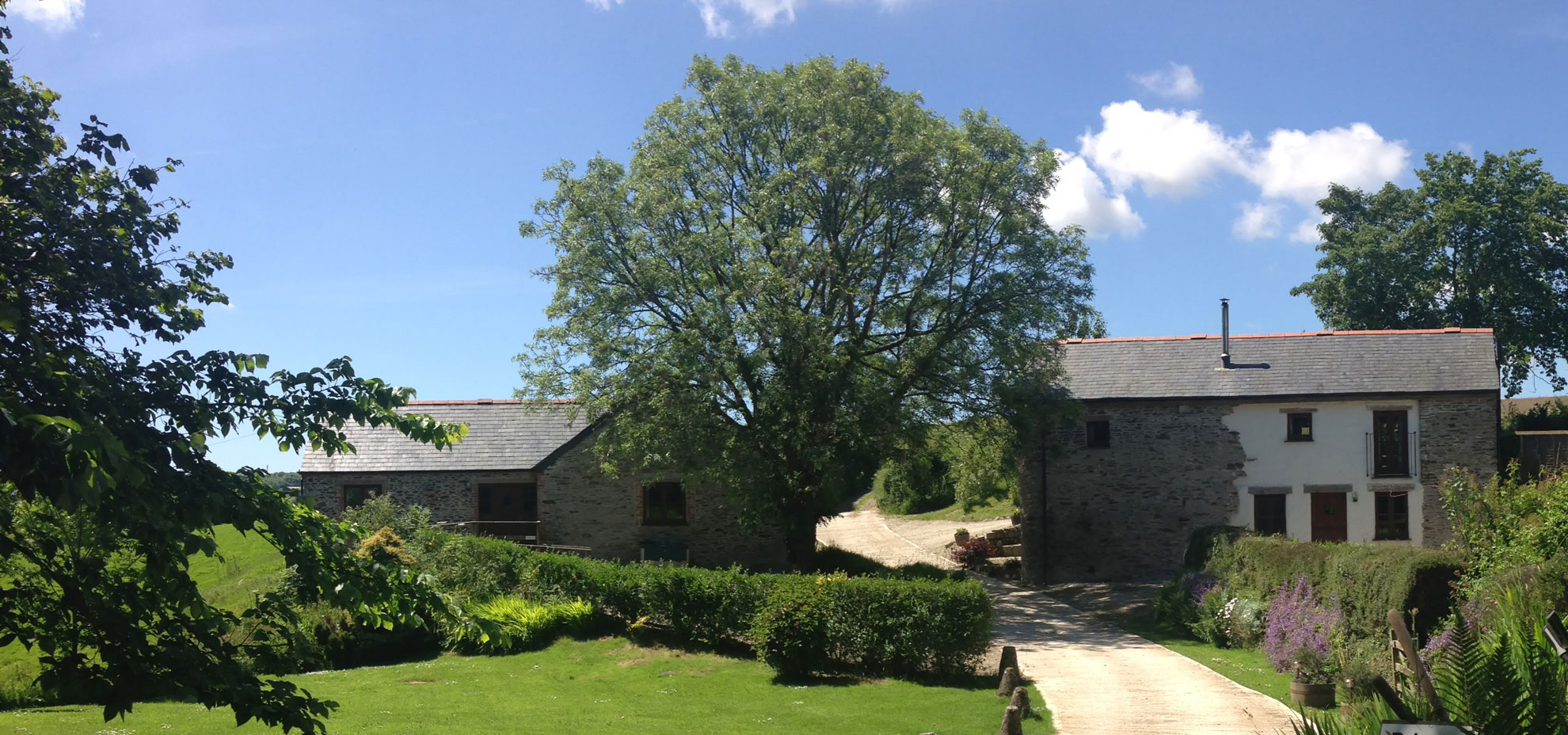 Buzzard Watch Cottage - Treworgans Cottages