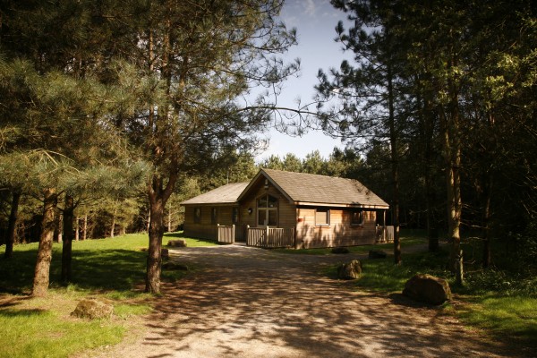 Disabled Holidays - Birch Lodge - Swadlincote, Derbyshire