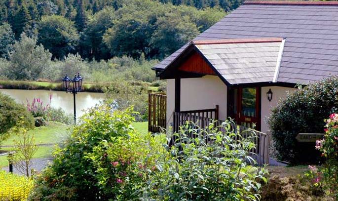 Blagdon Farm Holidays - Wagtail Lodge