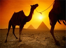 Essential Egypt - Wheelchair accessible 10 day tour