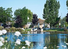 Disabled Holidays - Teal Cottage - Wallops Wood Cottages, Hampshire, England - UK