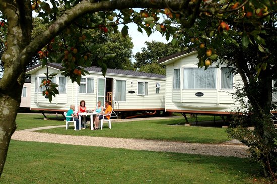 Disabled Holidays - The Gold Sovereign Caravan- Isle of Wight - Owners Direct, England
