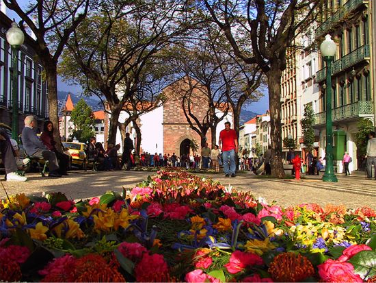 Disabled friendly accommodation in Funchal, Madeira
