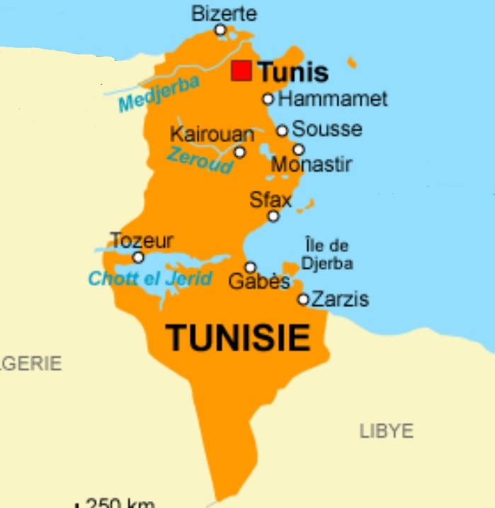 Accessible Hotels for Disabled Wheelchair users in Sousse, Tunisia