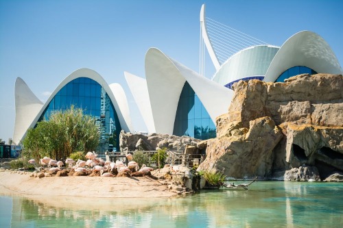 Disabled friendly accommodation in Valencia, Spain