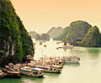 Disabled Tours In Vietnam