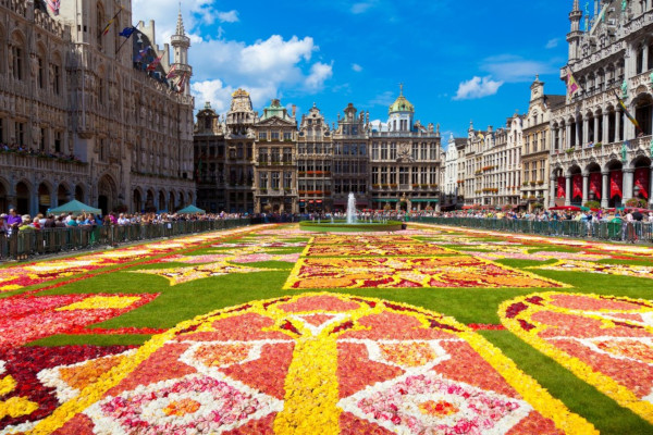Disabled friendly accommodation in Brussels, Belgium