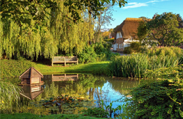 Disabled Holiday Cottages and Hotels for Wheelchair users in Hampshire, England