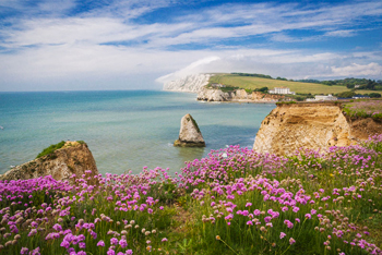 Holiday Ideas for Disabled in Isle Of Wight