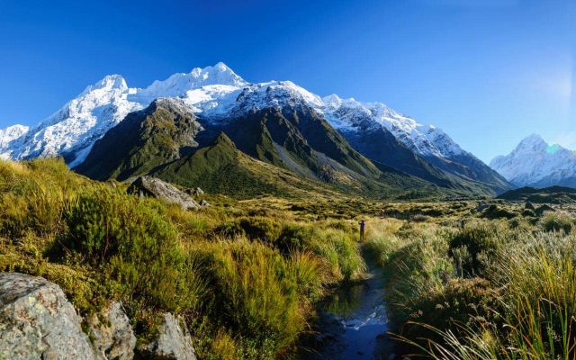 Accessible Hotels for Disabled Wheelchair users in Accessible Tours in New Zealand