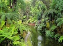 Disabled Holidays - Sao Miguel Island Four Day Tour, Accessible Tours In Portugal