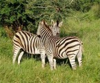 Accessible Tours In South Africa