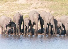 Disabled Holidays - Kruger Safari & Capetown - 12 Day Tour - Accessible Tours and Bespoke Holidays