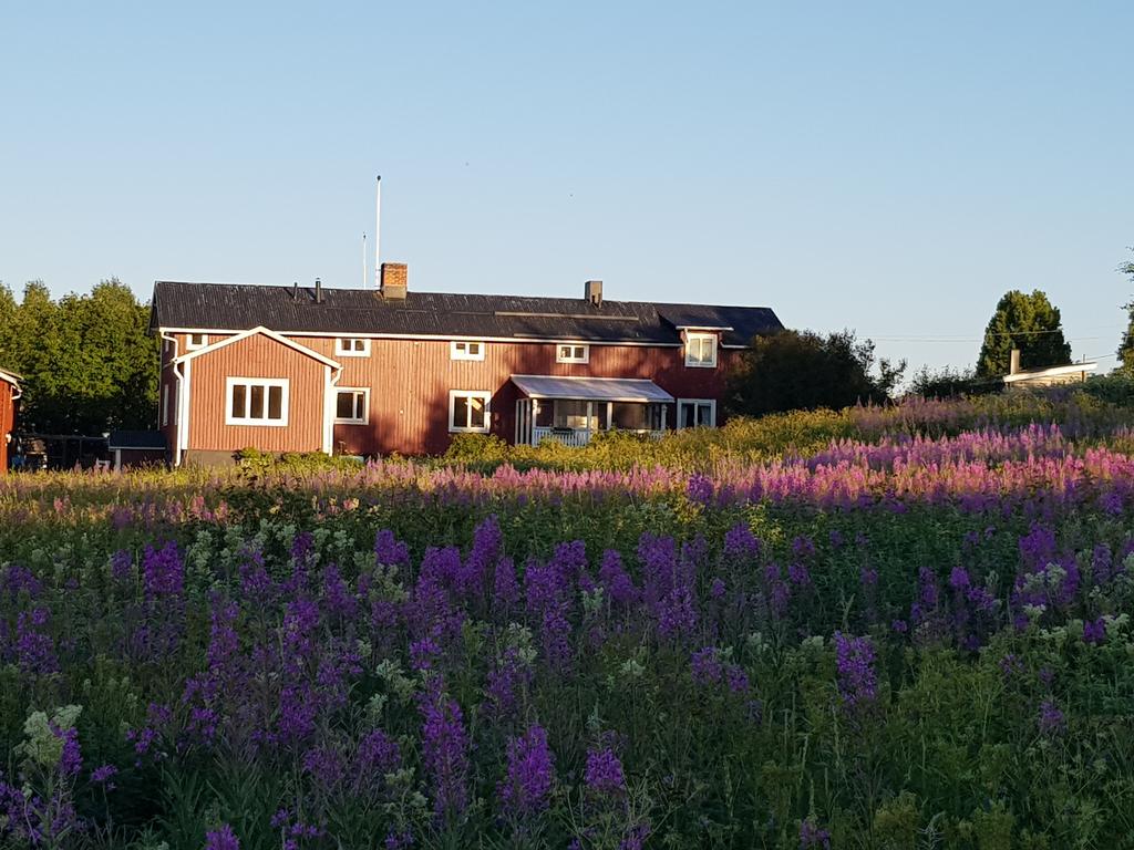 Disabled Holidays - The Friendly Moose Lapland