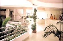 Viva Palmanova - Palmanova - Majorca - Lobby