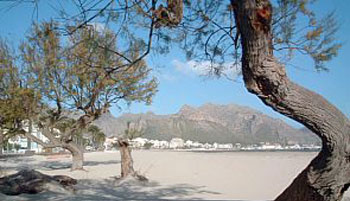 Link to Puerto Pollensa Pictures