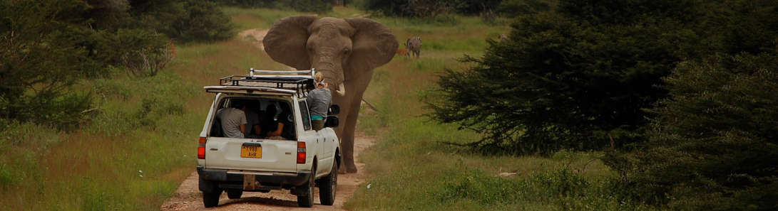 Accessible Tours in East Africa