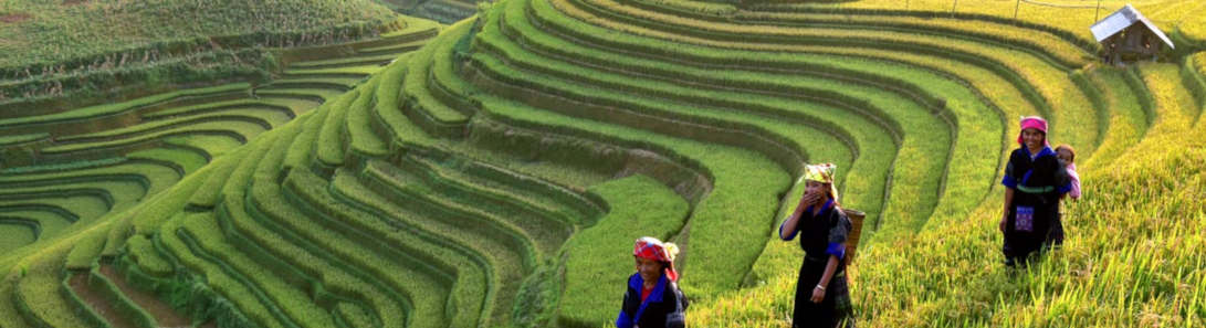 Accessible Tours in Vietnam