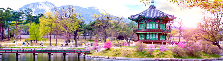 Accessible Tours in South Korea