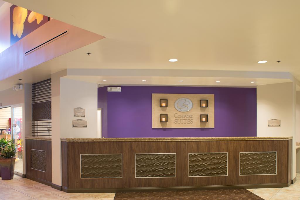 Comfort Suites Maingate East