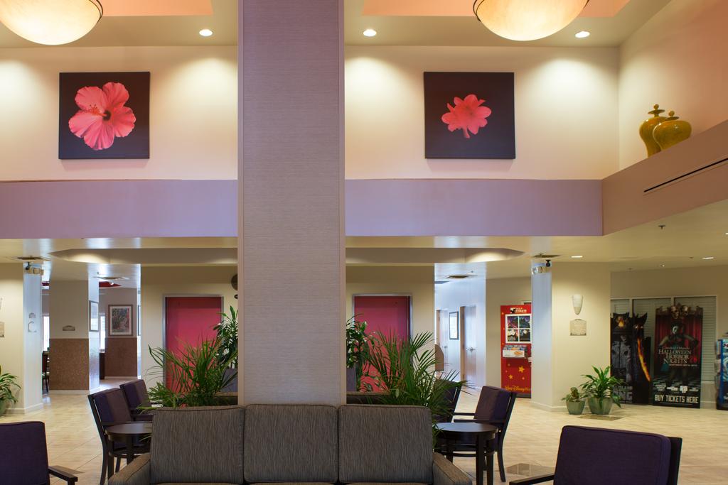 Comfort Suites Maingate East